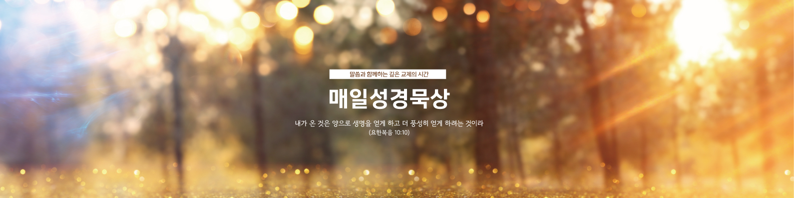 매일성경묵상