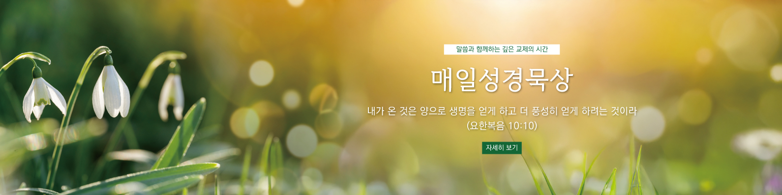 2026 매일성경묵상