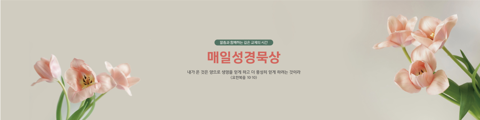 매일성경묵상