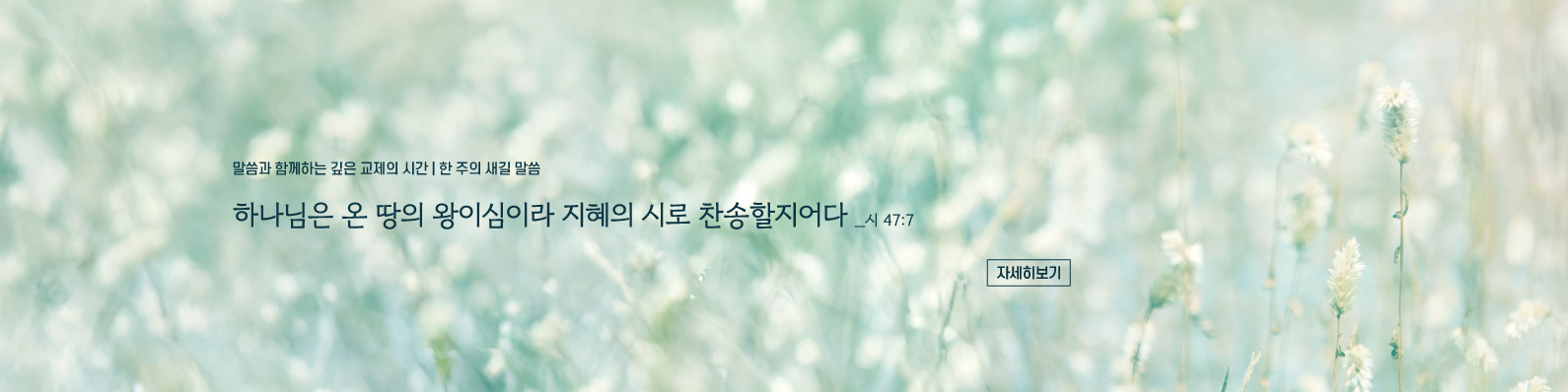 매일성경묵상