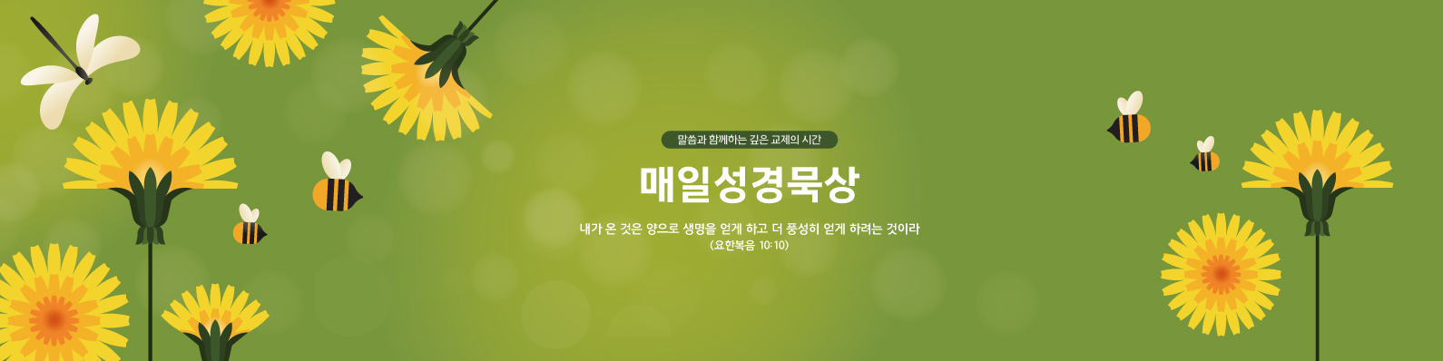 매일성경묵상