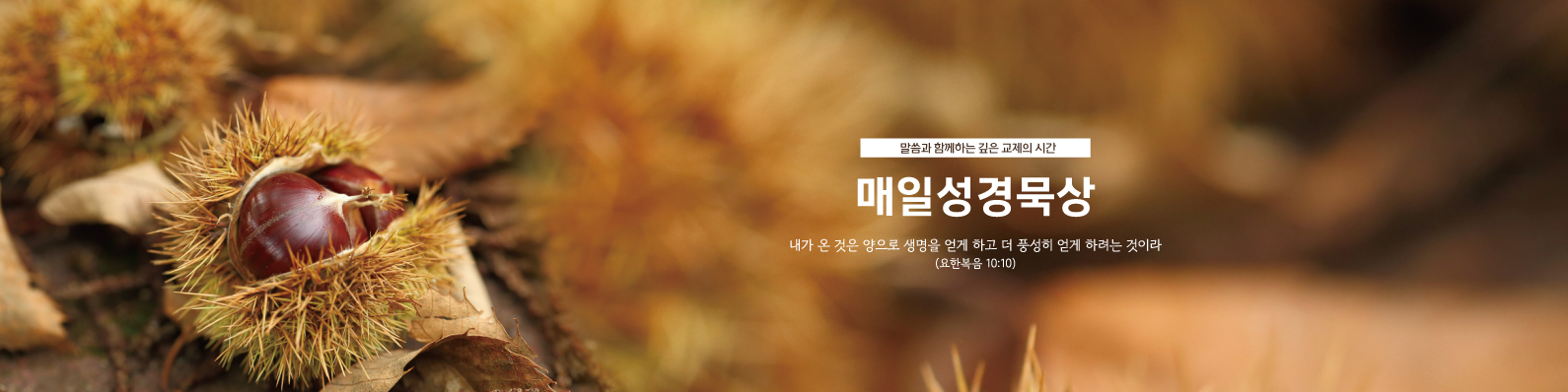 매일성경묵상